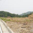 자연펜션 이미지