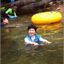 우정크린 Daum카페