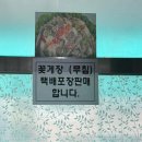 장수꽃게장 | 당진 간장게장 전문점 '장수꽃게장' 알이 꽉 찬 암꽃게 후기