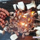 강가에 하얀집 펜션 이미지