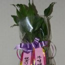 2012년 11월14일 07시06분 육군체력단련장 무열대 4번홀 hole in one (136m-8번아이언) 이미지