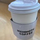 매머드익스프레스청담점