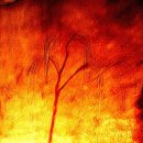 영주 순흥 벽화 고분 이미지