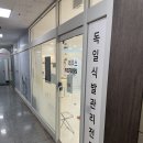 레푸스계양