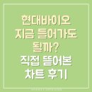현대바이오 | [솔직 분석] 현대바이오 지금 들어가도 될까? 직접 뜯어본 차트 후기