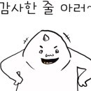 한우홀릭 이미지