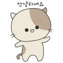 카페쵸이 - 창원시 진해구 여좌천로 158-12 | 카페쵸이