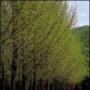 가을여행 이미지