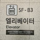 [파라오의 이집트]빛으로 깨어난 고대 문명 미디어아트 전시 정보 및 관람 후기