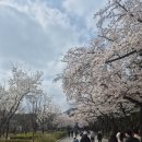 11545-10-30-29 | 29개월 아기랑 과천 그라운드플래닛 서울대공원 주말 후기(+식당, 외부음식)