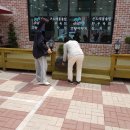 인복농장 이미지