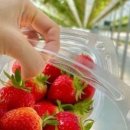 백곡초교 병설유치원 이미지