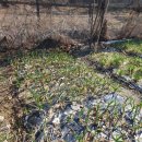 심기보농장 이미지