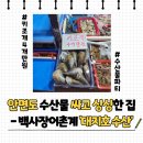 대지호 | [태안/안면도] 백사장어촌계수산시장 '대지호 수산' - 안면도 조개, 안면도 쭈꾸미, 안면도 꽃게 엄청...
