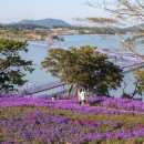 수성대민박 이미지