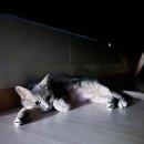태영노래연습장 | 8월을 사는 중 :: 230801-230817