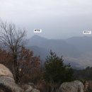 영산시장 이미지