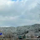 소요산버섯육개장 이미지