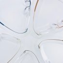 글라시코 옵티컬 이미지