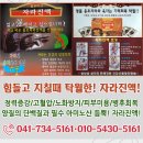 용초허브자라