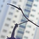 포항시교통약자이동지원센터 이미지