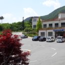 신흥동 라인댄스 이미지