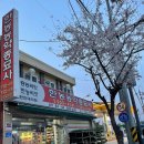 한농종묘사 이미지