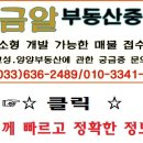 황금알부동산공인중개사사무소 이미지