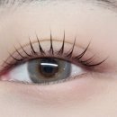 다온래쉬 - 서구 | 다온래쉬