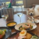 SNIFF(스니프) | [경주 애견동반] 카페 스니프(Cafe Sniff) 후기🐾