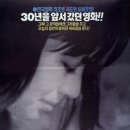 초우 Daum카페