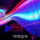 두손모아 반딧불이 이미지