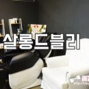 살롱드블리