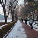 석촌공원길 이미지