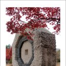 시청앞 공원 이미지