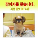 고강동 12 이미지