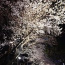 동백샤브샤브 이미지