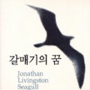 갈매기의 꿈 이미지