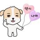 모모동물병원 이미지