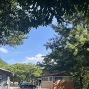 밤골야영장 | 열 번째, 우리의 첫 초대캠핑 (영월 밤골캠핑장)