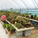 정문농장 이미지