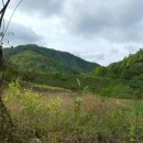 성창공인중개사사무소 이미지