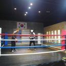 캥거루복싱GYM 이미지