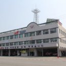 주정차단속-119 이미지