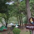 개미들솔향기야영장 이미지