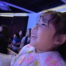 뮤지컬 꿀벌마야의 모험 이미지