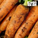 늘갓농장 이미지