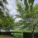 남천마을길 이미지