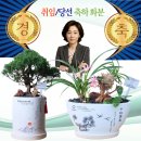 한국무역협회노동조합 | 한돈 경제인연합회 경영자 총협회 무역 협회 당선 취임 축하 화분