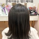 지나헤어룸(ZINNA HAIR ROOM) | 문래동 미용실 [템드헤어룸] - 문래점, 뿌리 매직 후기, 다희 실장님